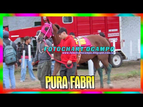 PURO FABRI - General Pinedo - Chaco 07/04/2024