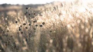 Rob Dougan, Born Yesterday