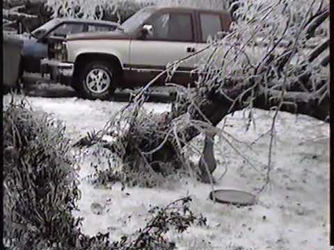 Ice Storm 1994