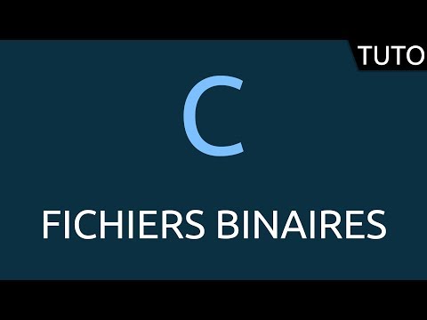 Tutoriel C fichiers binaires