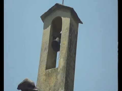 Campane di Coassolo (TO) - borg. Pian Casassa