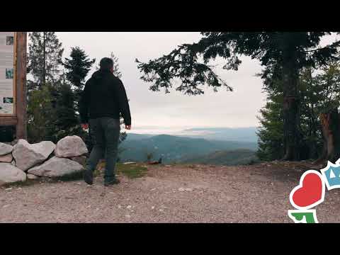 Aproape de Oradea 🌳🌻☀️