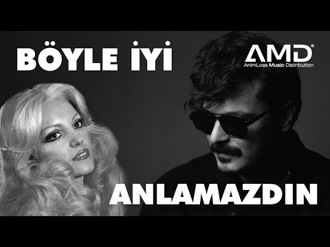 BÖYLE İYİ X ANLAMAZDIN - No. 1 V Ayla Dikmen