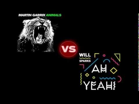 Martin Garrix VS Will Sparks - Ah Yeah Animals ( Squeenek Remix )