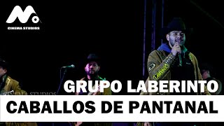 Caballos de pantanal - grupo laberinto (en vivo Guatemala 2025)