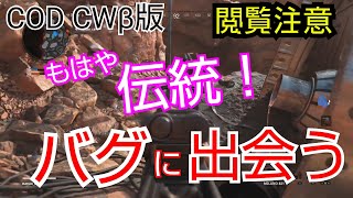 COD CW 【閲覧注意の伝統バグ】