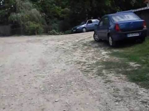 Pungesti - polul sigurantei si al increderii 3 iulie 2013