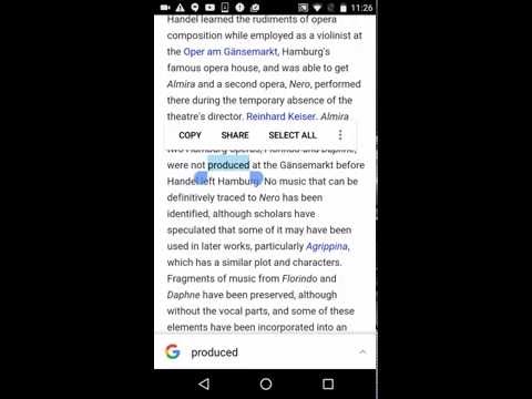 Indonesian Dictionary & Translator Video