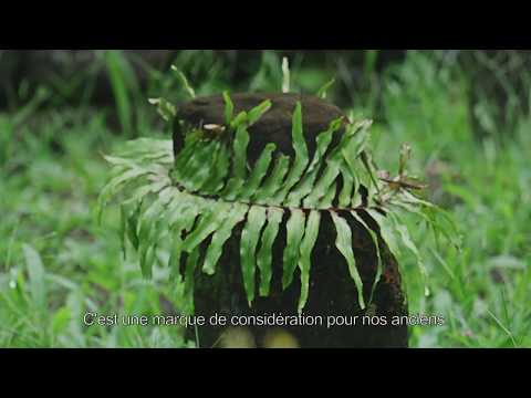 MAI TAHITORA - Rai KAIMUKO