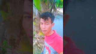 Download lagu #rhomairama#fyp #video mp3