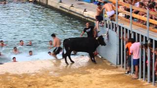 preview picture of video 'Bous a la Mar Denia 2014 - Impresionante Cogida'