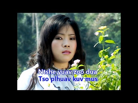 Dej Sab Si (Maiv Ntxawm Tsab) - Hlub Ib Vuag Rau Luag Cav - 2010