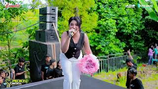Download lagu BEGADANG 2 LUSYANA JELITA - CAMELIA MUSIC - HAPPY PARTY ARDO TEAM - JEPALO GUNUNGWUNGKAL PATI mp3