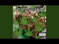 Smoking Marijuana