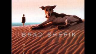 Brad Shepik - The Flood