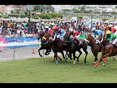 FAITES VOS COURSES 2017 - RACEMEETING 11