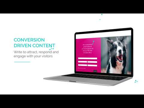 Market Forever Global - Digital Marketing Agency video.