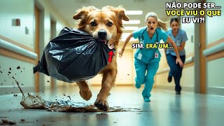 CACHORRO ENTRA CORRENDO NO HOSPITAL COM  SACO DE LIXO NA BOCA/ ao abrir ficaram em choque.