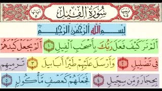 Al Fiil - Muammar ZA