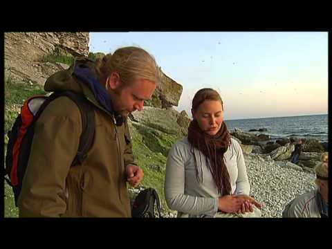 Mitt i naturen juni 2015 Tittarnas favoriter