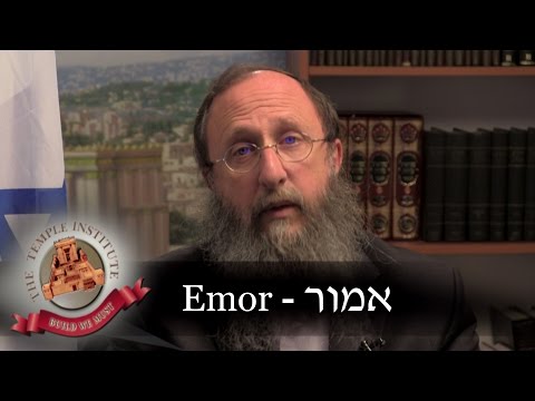 Weekly Torah Portion: Emor