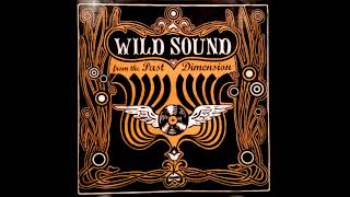 LOSFUOCOS - Sister Anne (MC5 cover)