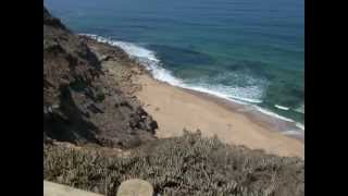 The Love Theme (Dances With Wolves-Soundtrack)