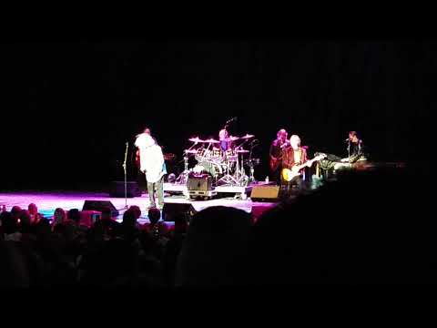 The Turtles - Elenore