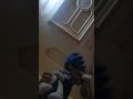 Sonic VS Boy Sonic