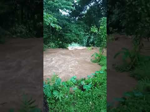 A.chik A.songni Chibima Dilsa Ongpa.a Iaba