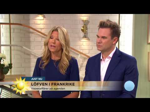 Löfven mötte president Macron – så gick mötet - Nyhetsmorgon (TV4)