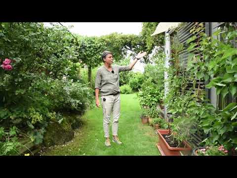 Wie Sie Ihr Wohnhaus auch in Zukunft vor Hitze und Starkregen schützen