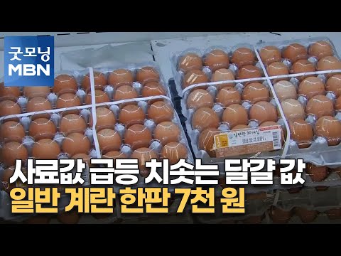 , title : '사료값 급등 치솟는 달걀 값…일반 계란 한판 7천 원 [굿모닝 MBN]'