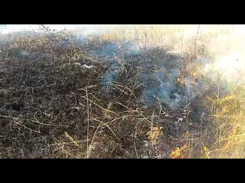Incendiu de vegetatie la Serbotesti, comuna Solesti - Imagini ISU Vaslui