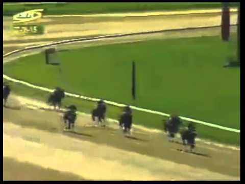 VALENCIA 7 CARRERA, VIERNES 07 DE AGOSTO DEL 2015