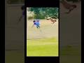 Funny Monkey Mind Voice Monkey Funny Comedy Shorts Shortsfeed Funnyanimals Animals