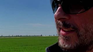 I&#39;m So Afraid Of Losing You Again