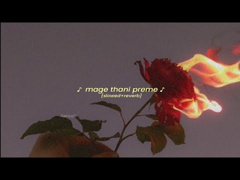 මම කෙරු මගේ තනි ප්‍රෙමේ  {slowed+reverb}
