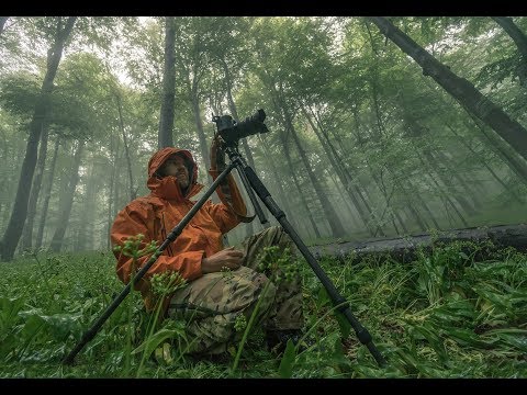 Searching for the Shot  (with Ivan Miladinov)