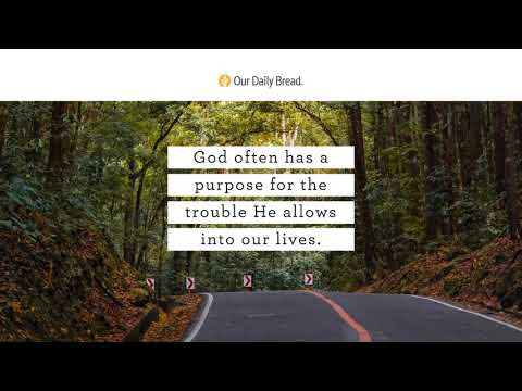 Imperfect Plans | Audio Reading | Our Daily Bread Devotional | April 11, 2021