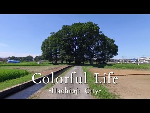 八王子市シティプロモーション動画「Colorful Life」