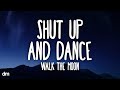 WALK THE MOON - Shut Up and Dance (Lyrics)