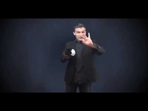 GLOVES TO ZEBRA STREAMER   YouTube 360p