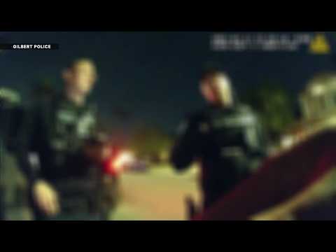 Gilbert Goons Mugshots Arizona A Comprehensive Investigation