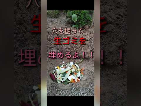アパートでも堆肥を作ることはできますか？バルコニーコンポストを成功させるために知っておくべきことすべて!  庭園