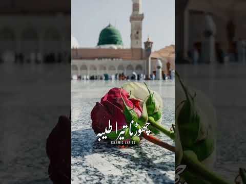 humne aankhon se dekha nahi hai Magar Urdu naat #status #viral #shorts #makkah #trending #mashallah