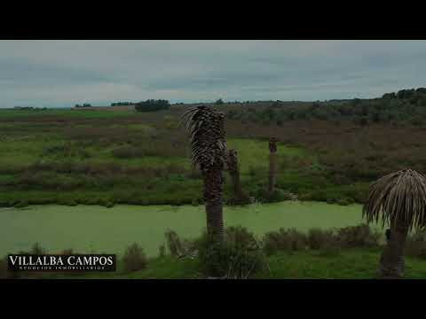 San Jacinto, Canelones 45 hectáreas de excelente Campo. 