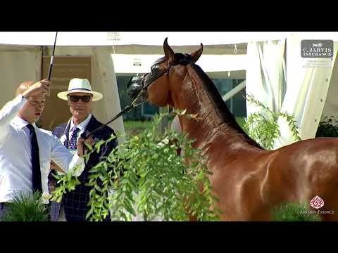 Prague  2023 Intercup   Class 2A