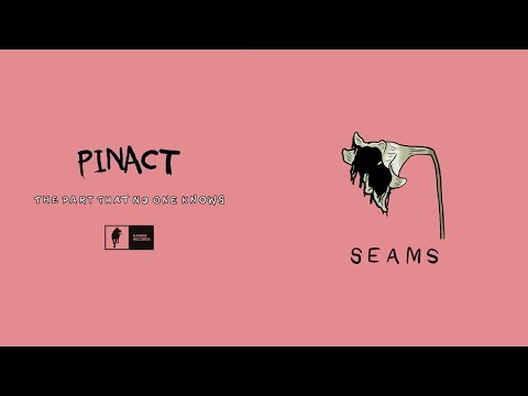 Pinact - Seams (audio)