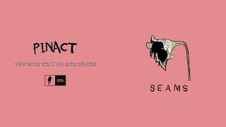 Pinact - Seams (audio)